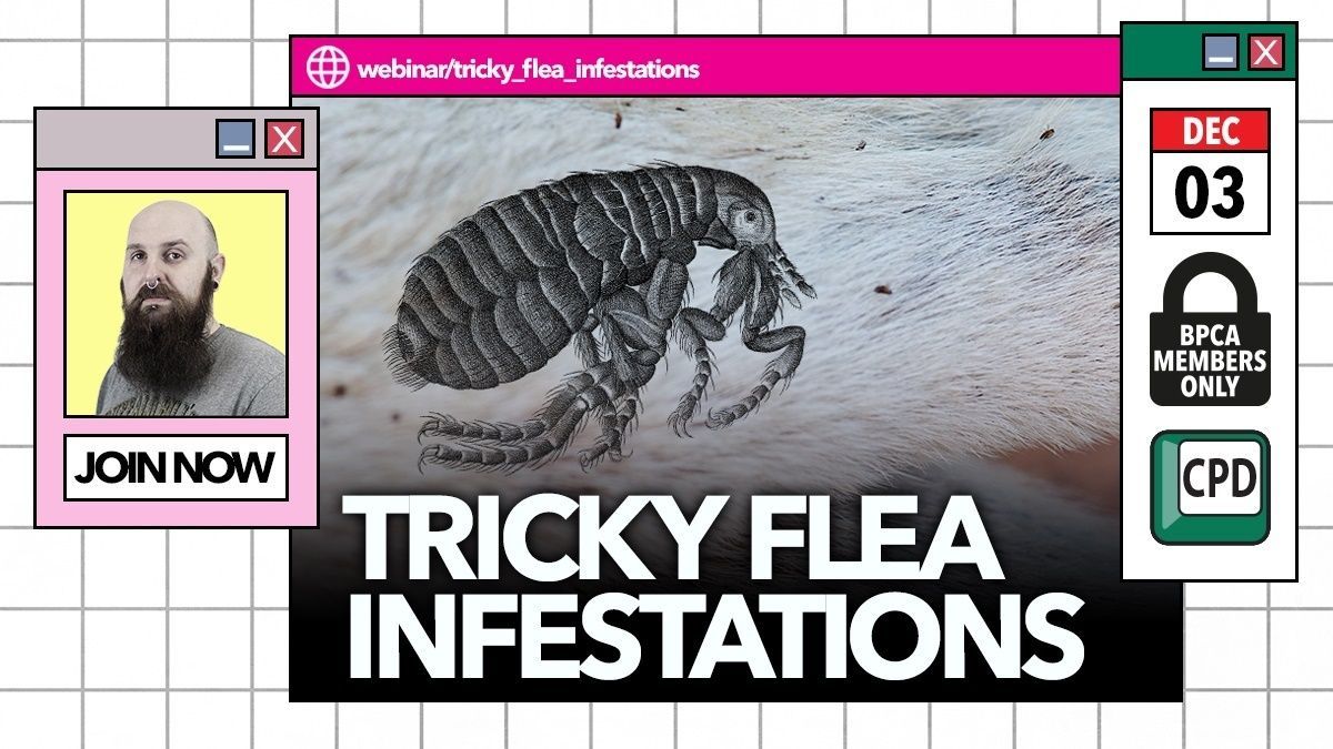 🎥 It's webinar day! Don't forget to join us at 12.30pm for a talk on tricky flea infestations with our technical manager, Niall Gallagher. 

Info: buff.ly/clKyO3u 

#PestControl #Webinar #CPD #Learning