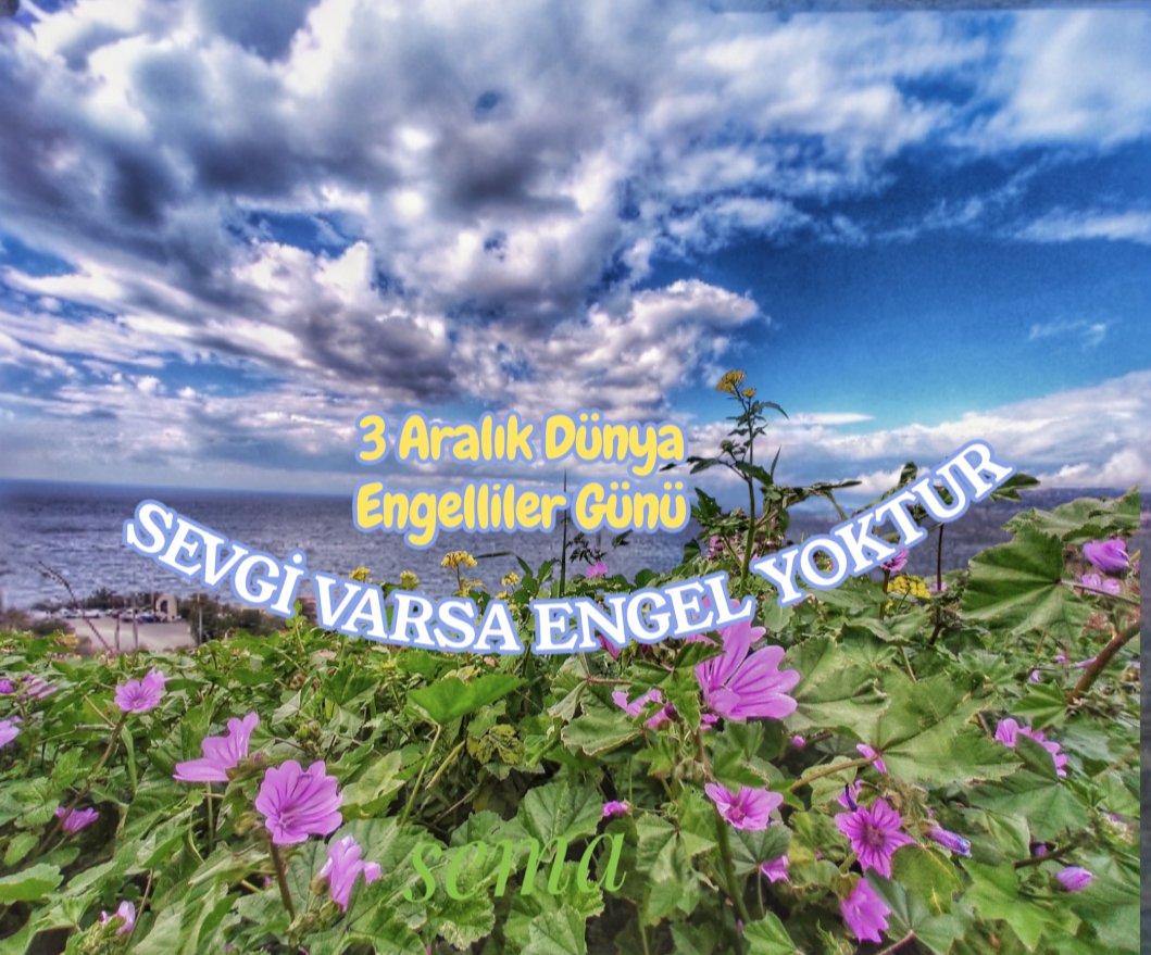 Bugün  #3Aralık...
Beynindeki ve yüreğindeki engelleri kaldırabiliyorsan yeter.

Bütün hayatımız, yaşadıklarımız ile düşündüklerimiz arasındaki masum çelişkiden ibarettir.
#OğuzAtay

#engellilergünü  #engel #insan
#3aralıkdünyaengellilergünü