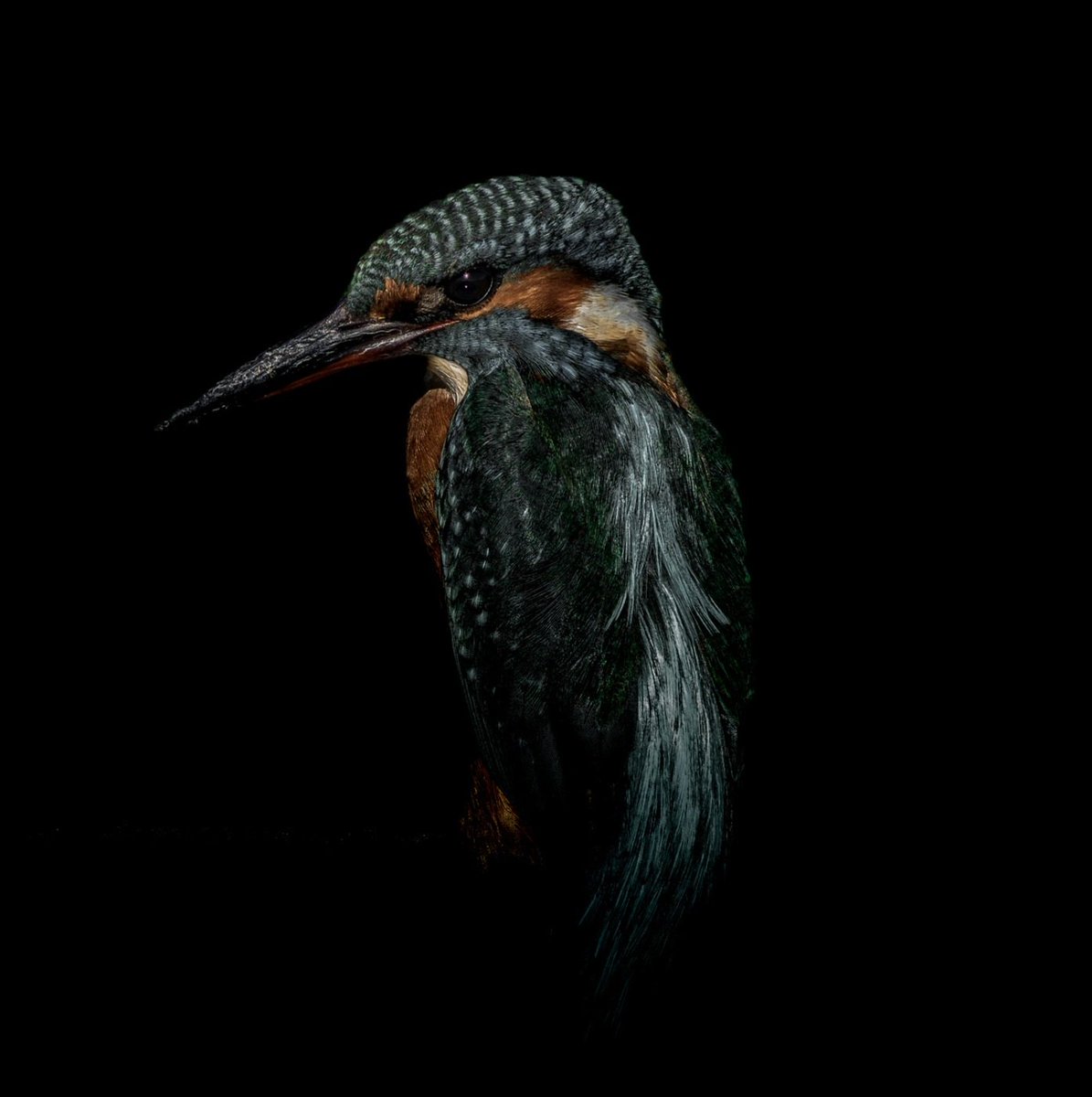 Rubén🪐 tweet media