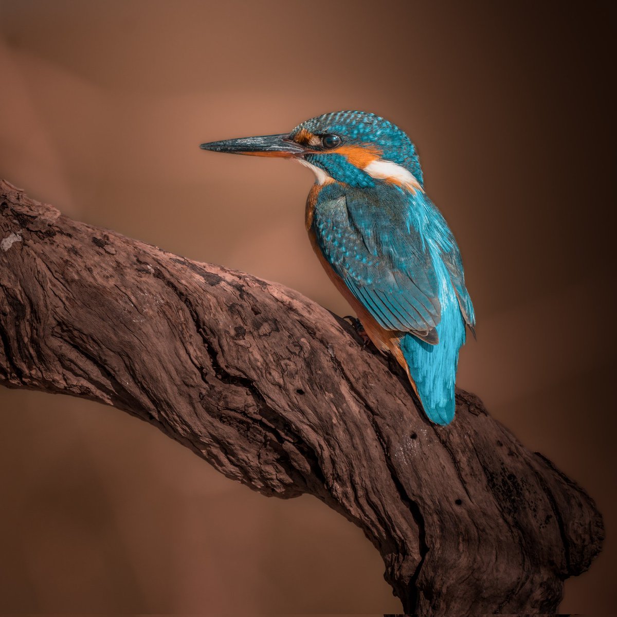 Rubén🪐 tweet media