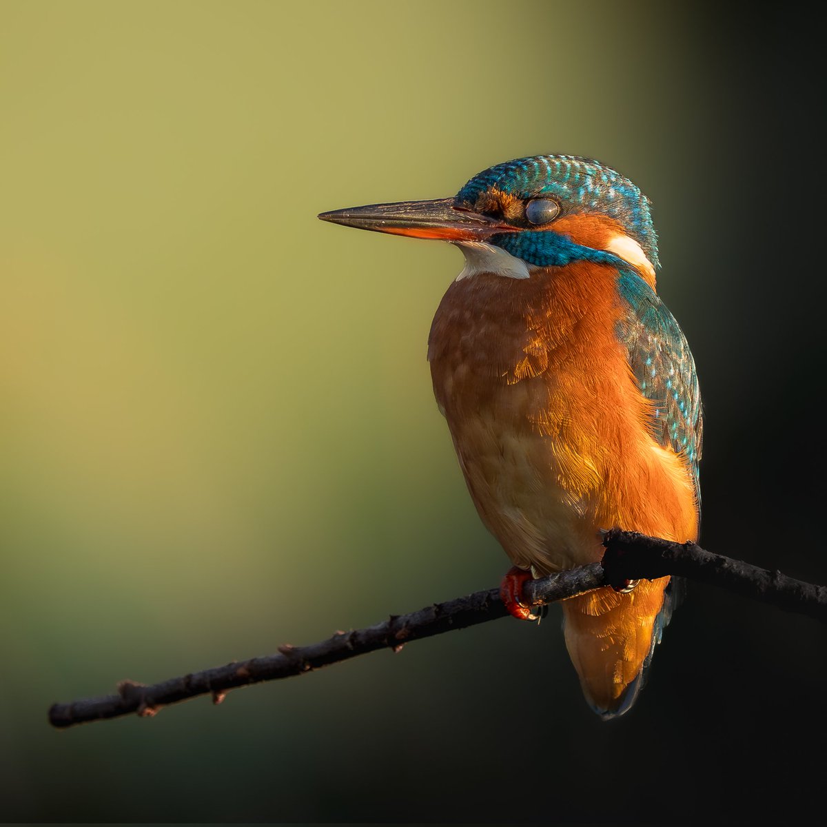 Rubén🪐 tweet media