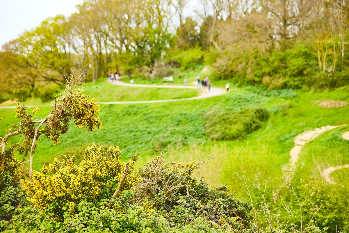 ExploreEssex's tweet image. We're #Recruiting!

We are searching for a #part-time Park Operations Assistant to join our friendly team at #HadleighCountryPark.

If you enjoy #workingoutdoors and want to contribute to the daily operation of the park - apply now! Closes 7 Dec at workingforessex.com/apply/park-ope…