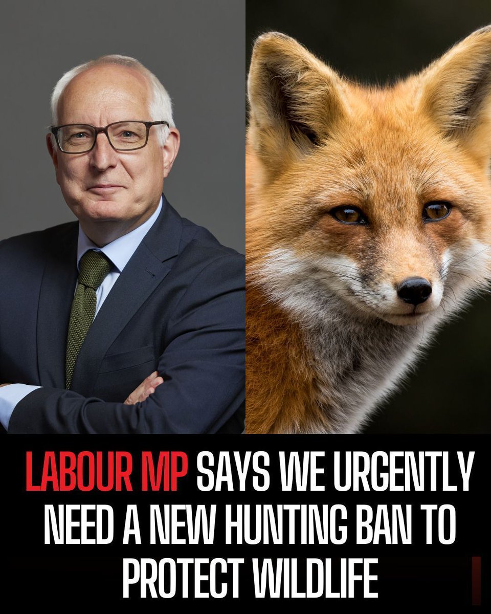 ProtectTheWild_'s tweet image. Neil Duncan-Jordan MP is spot on!