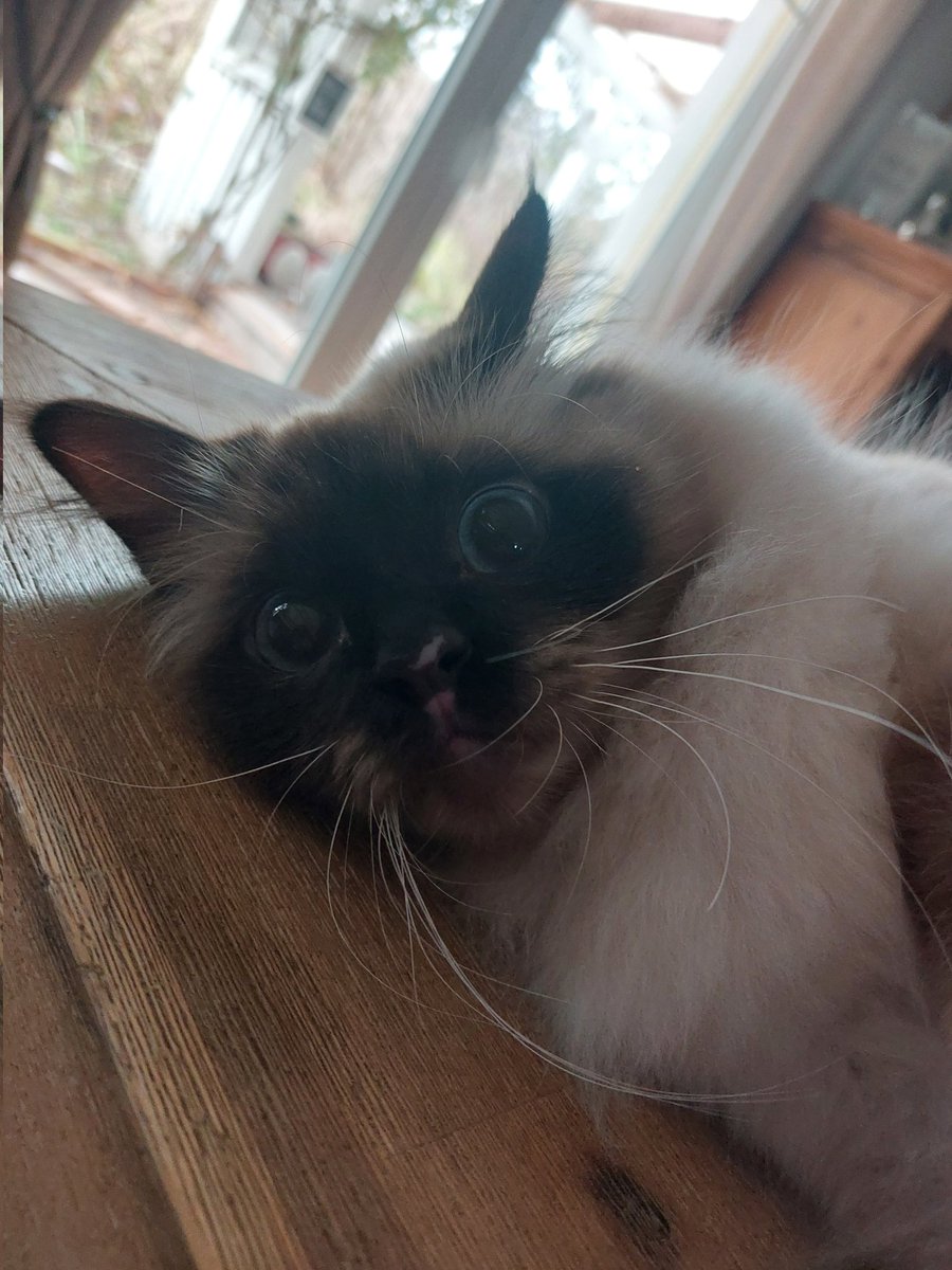 Staring into your soul