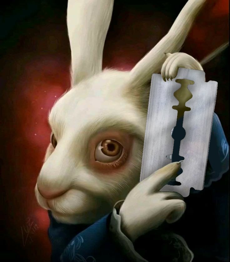 Bones_n_wormS's tweet image. all roads lead back to the blade