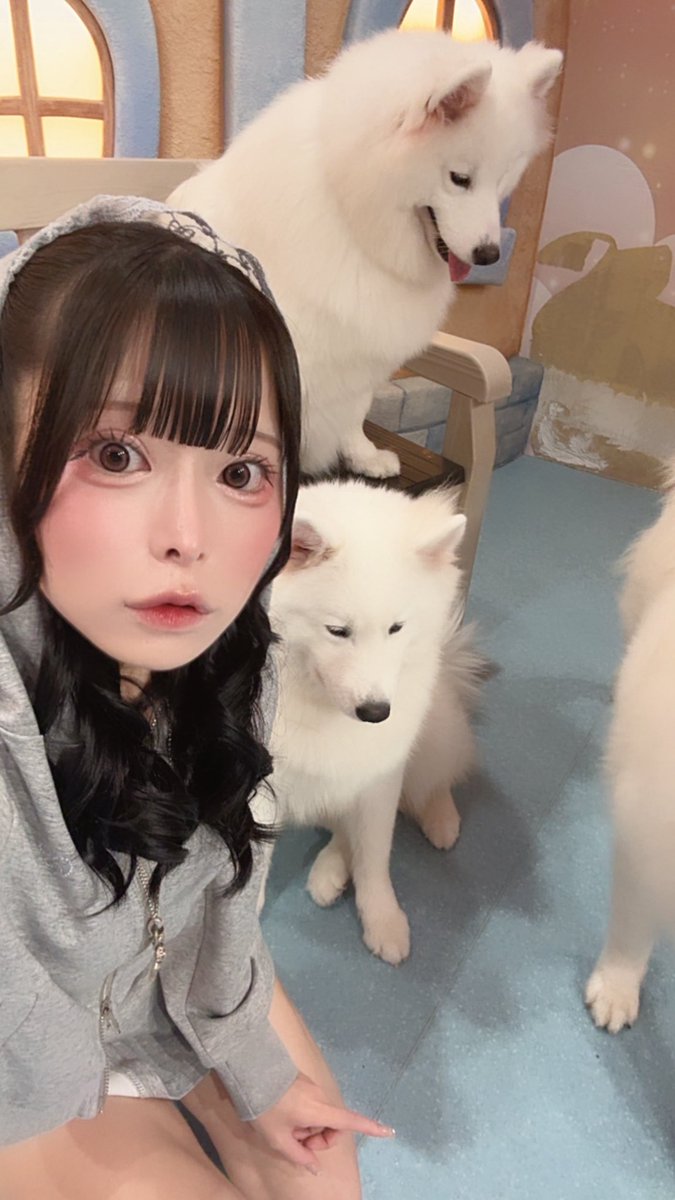 みさき (@miooyt) / Posts / X