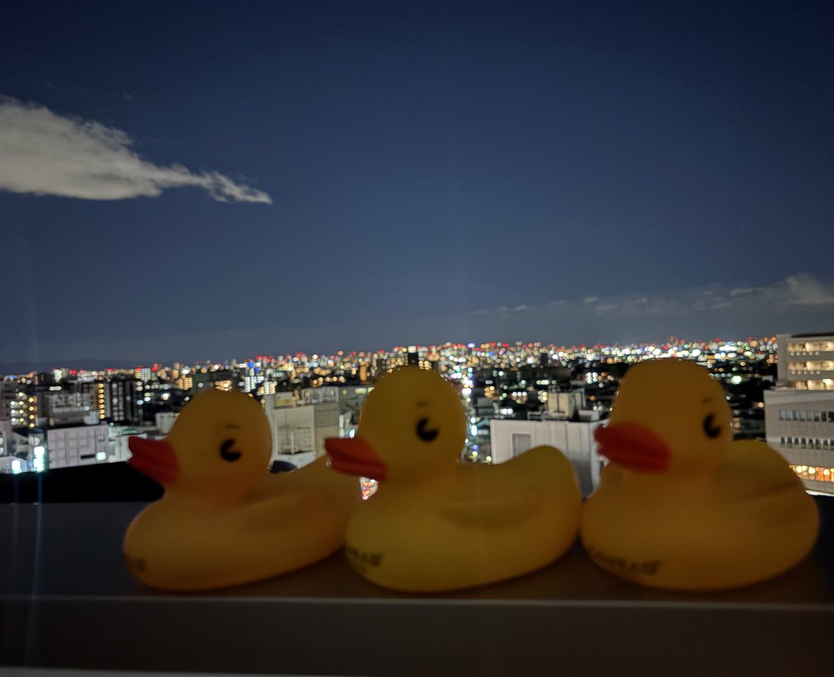<a href="/DailyPicTheme2/">Daily Picture Theme</a> Three small ducks watching over a very big city.
Night patrol in progress🦆

#DailyPictureTheme #Goose