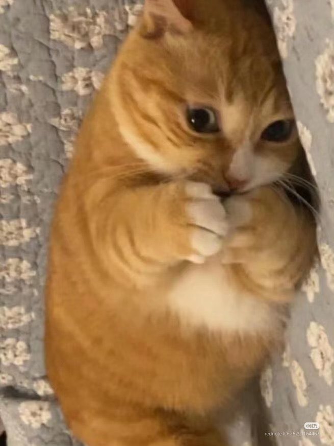 은옥이 언니야들이 너무 조음 ..