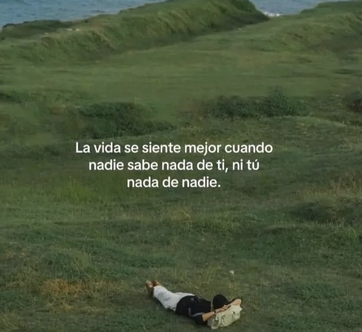 vibesfyp's tweet image. 