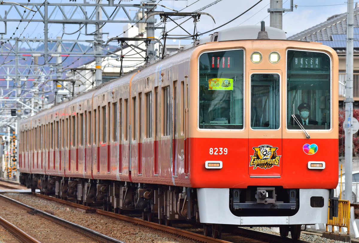 けんちゃん◢⁴⁶ (@kenchan_trip) / Posts / X