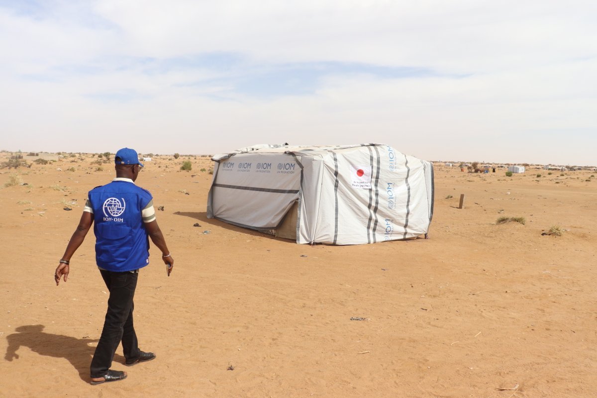 OIMMali's tweet photo. L’OIM installe des abris pour 100 ménages déplacés dans les communes de Gao, Gounzourey et Anchawadj, grâce au soutien du Gouvernement du 🇯🇵.
Une action qui renforce la protection et la dignité des familles. 
#protectiondespopulations  #gouvernementdujapon #HumanitarianSupport https://t.co/tC1qXrP96C