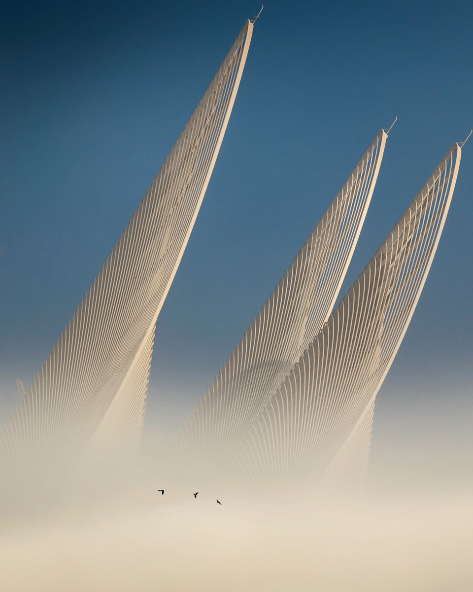 شموخ tweet media