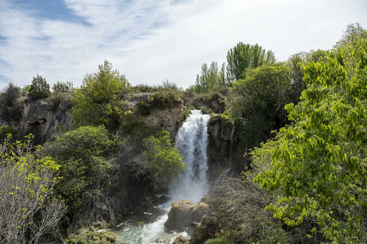 💧 La Cascada del Hundimiento es uno de los rincones más espectaculares de las Lagunas de Ruidera. Un salto de agua que refleja la fuerza y belleza de la naturaleza, recordándonos la importancia de conservar estos espacios únicos.

#Guadiana #LagunasDeRuidera