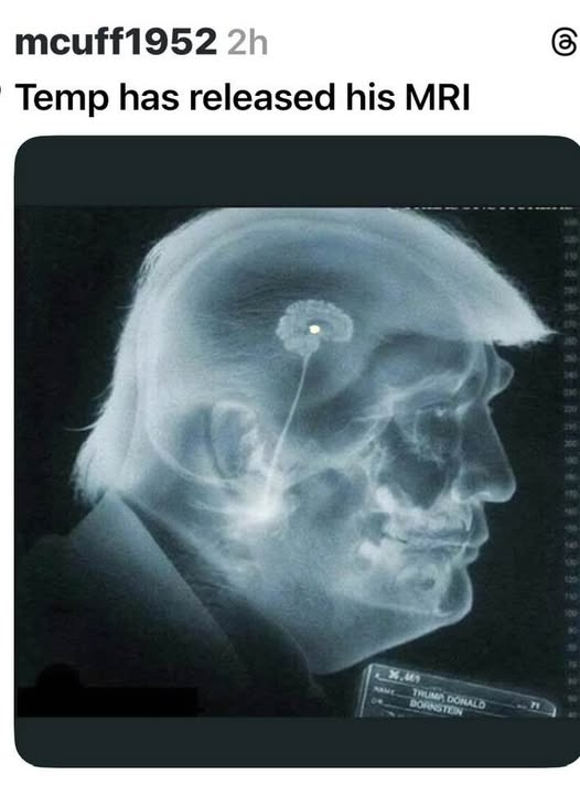 MarkSH0202's tweet photo. @DonaldTrumpnq https://t.co/NSHN9vdkF7