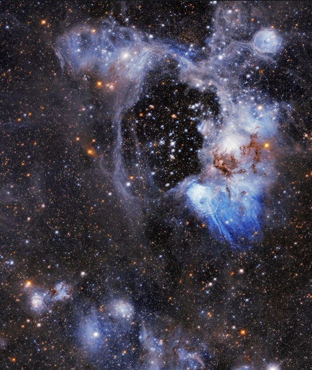 Charles Manson tweet media