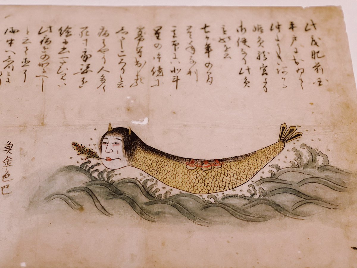 われわれの人魚の概念がそもそも違ったようだ。