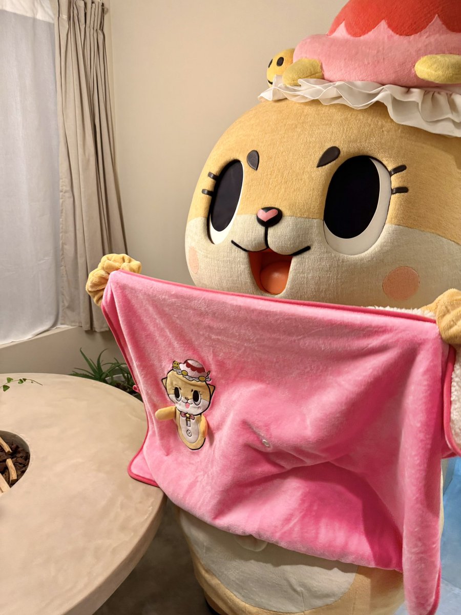 カメちゃん🐢 (@kamechan7407) / Posts / X