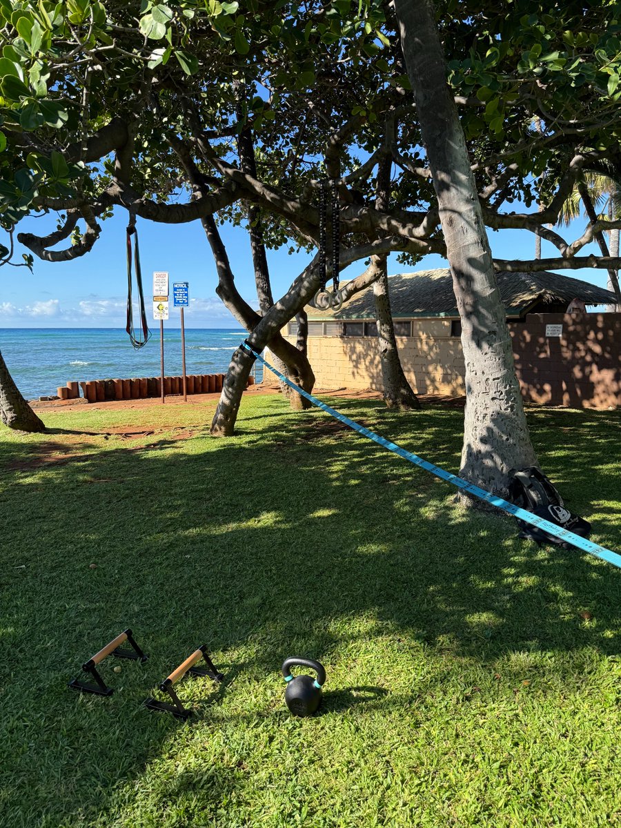 I've built the most well-rounded, elite portable gym.

- Kettlebell
- Parallettes
- Gymnastics rings
- Slackline
- Resistance bands

This setup trains the full spectrum of human movement anywhere — park, beach, forest, backyard… you name it.

It offers far more complete training