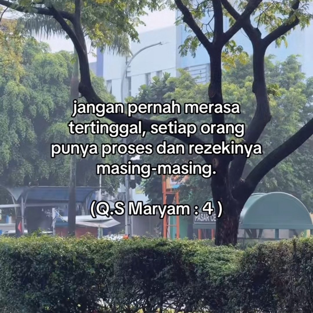 poconxg's tweet image. 