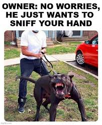 <a href="/Tablesalt13/">Tablesalt 🇨🇦🇺🇸</a>