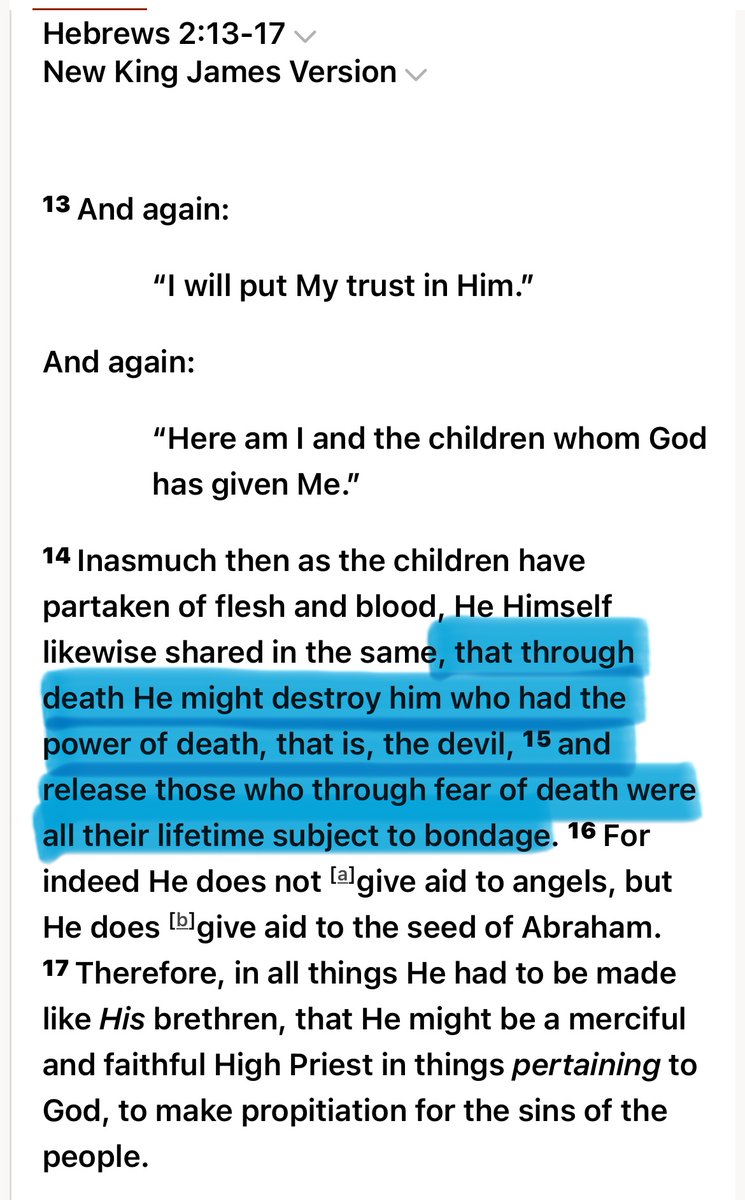 Sarah Grace tweet media