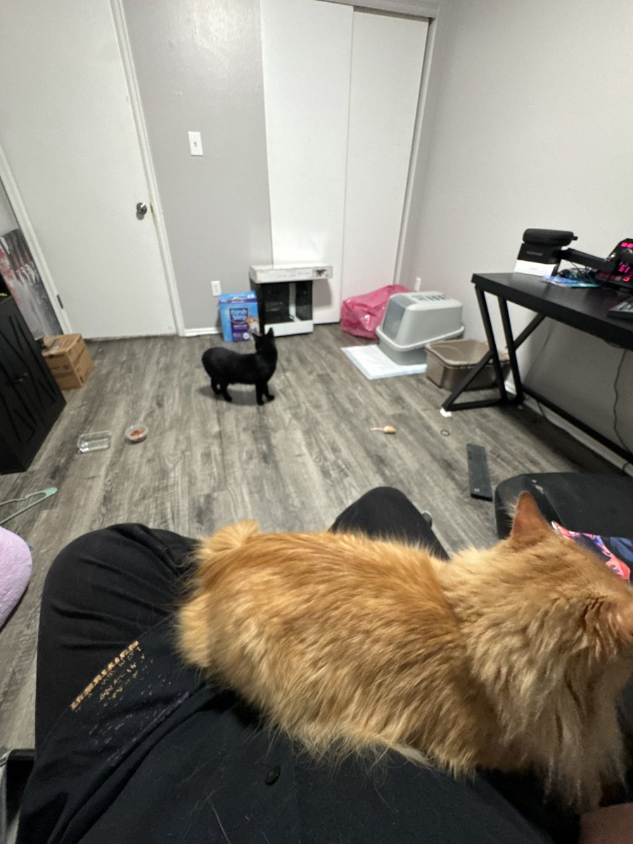 Just to you update yall we now own them solstice and megatron note megatron is mine the orange one ehehehe