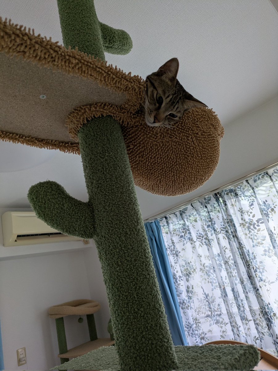 ジロー様 ホワイツブーツ] WHITE'S BOOTS 2332-C SEMI DRESS 9338 Last ブラウン