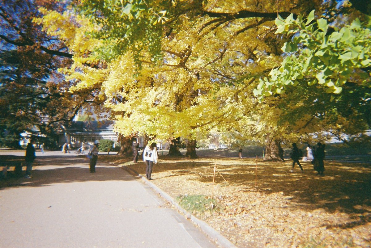 hatta_pic_0301's tweet photo. Kodak M38 × Kodak Gold 200 https://t.co/Tr0xh3s7bm