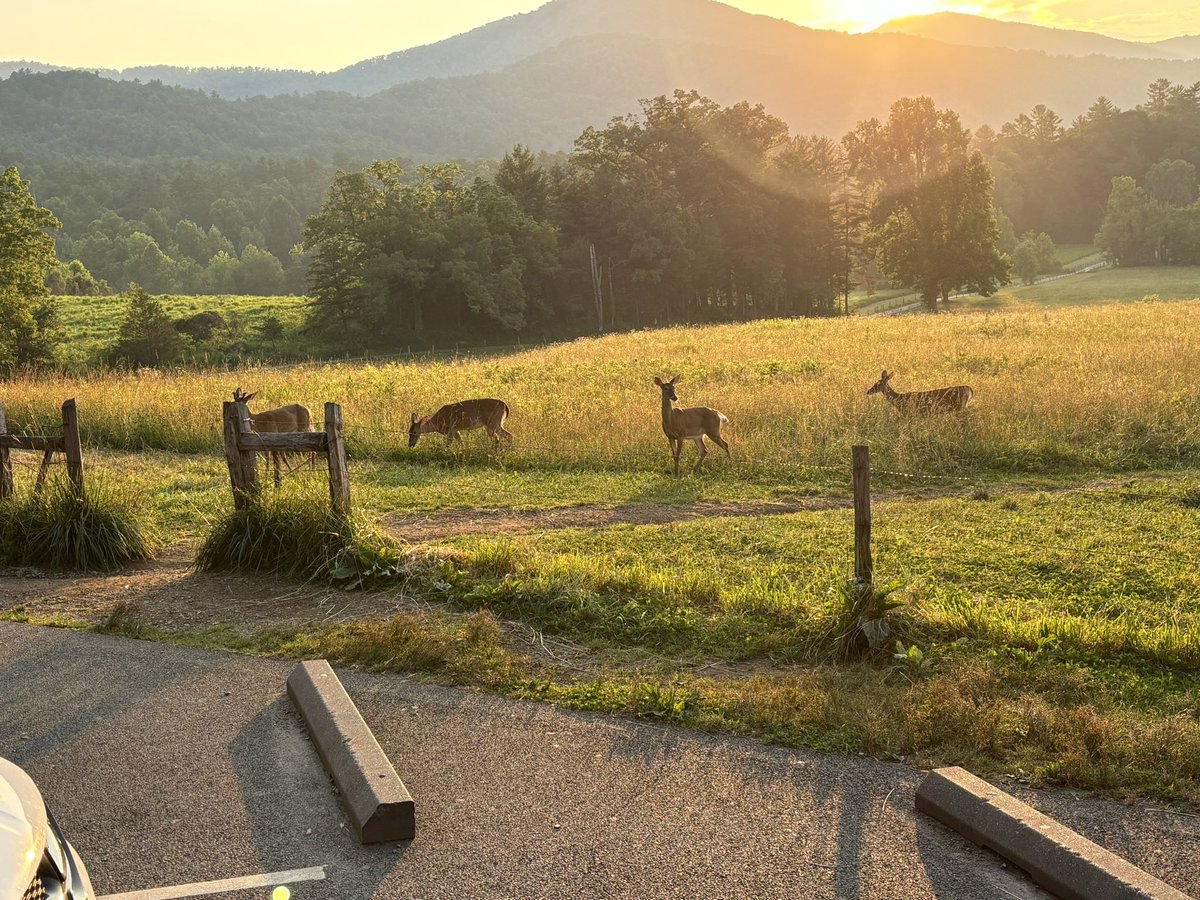 semen god king tweet media