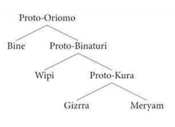 “Deep-time diversity: The Oriomo languages of Southern New Guinea” by Michael Josefsson at the annual conference of the Australian Linguistic Society, Griffith University, Dec. 2–5, ’25 als.asn.au/Conference/202…
