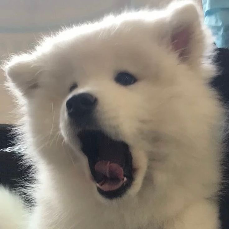 mmmingbb's tweet image. 암만 봐도 유지민 같애