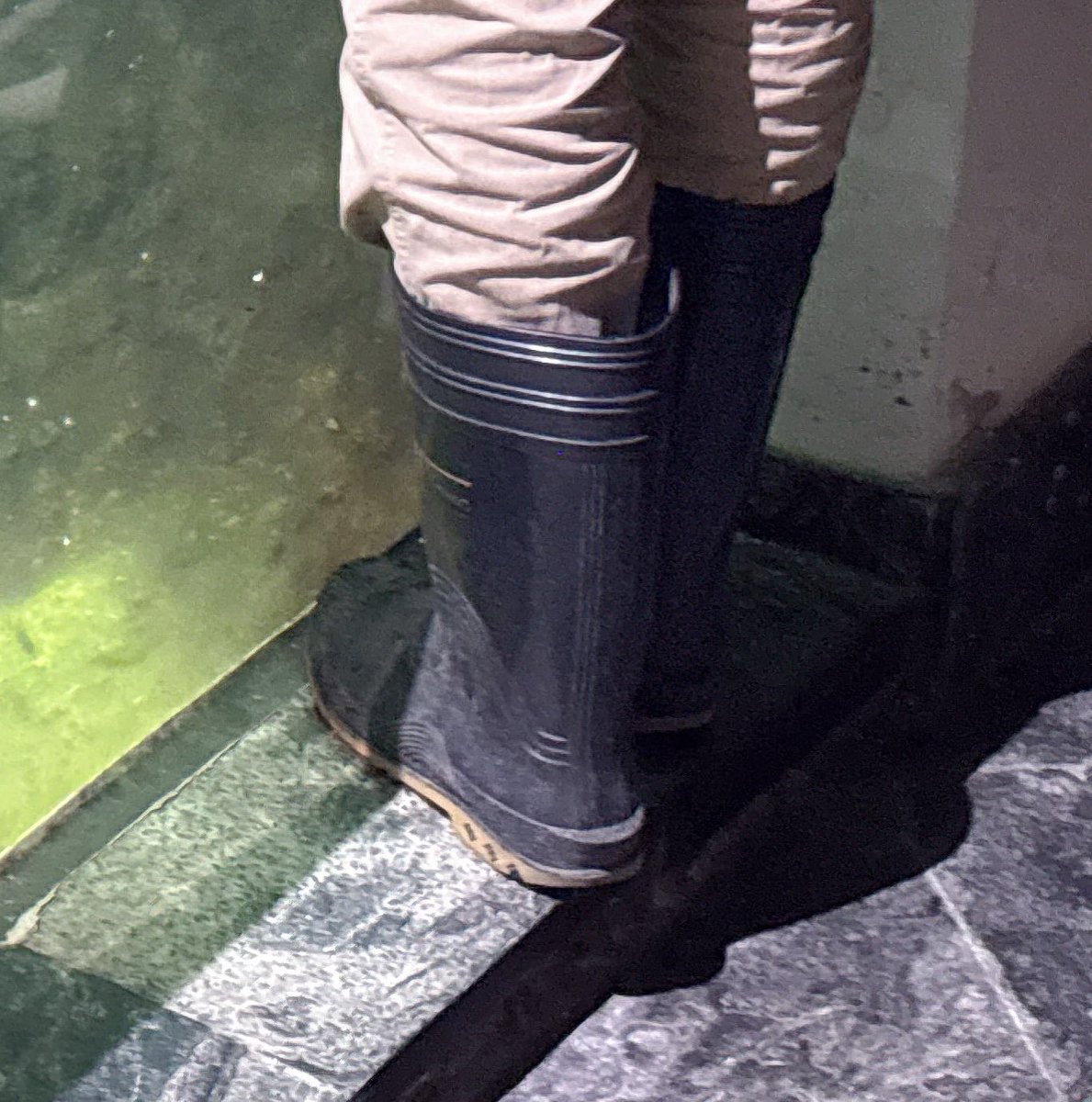 kc lee (@kclee0547216816) on Twitter photo 