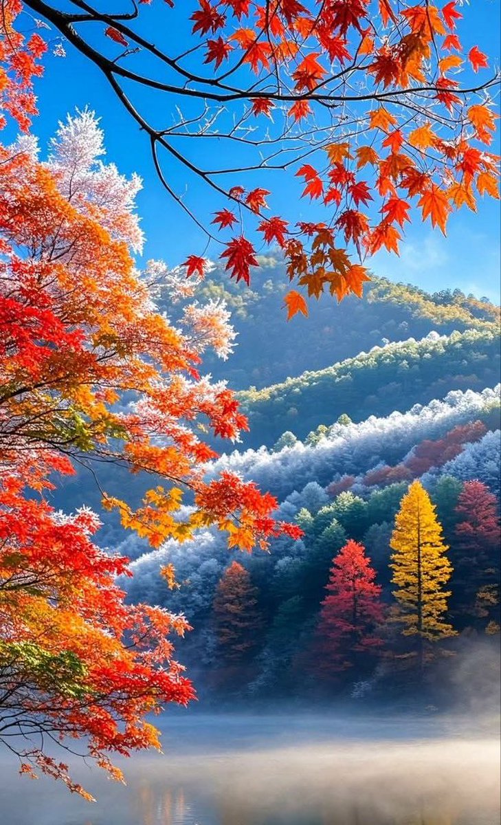 アキラ (@xxjbiebscrew) on Twitter photo 