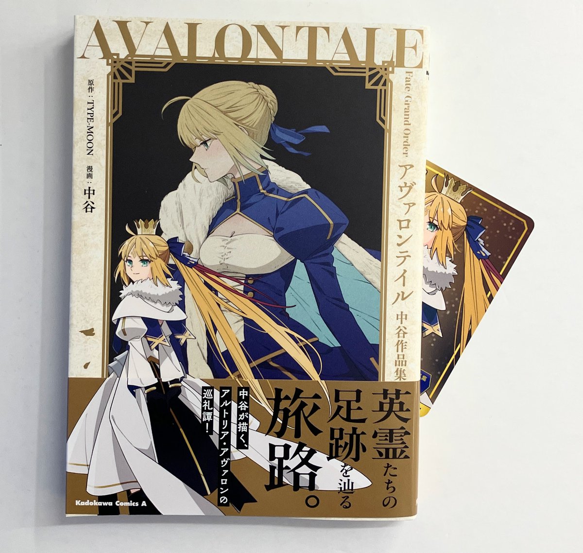 アヴァロンテイル 中谷作品集　アニメイトセット 月姫　ムーンフェイズ　漫画セット 71CGMjhGXmL.jpg