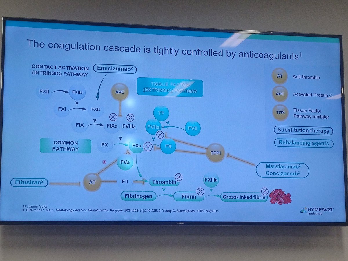 Ahmed Kotb (@AhmedKo45911157) / Posts / X