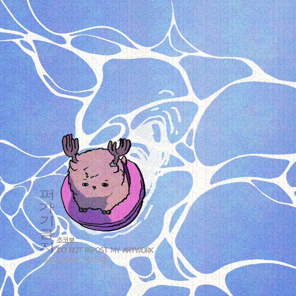 초코보🐤 (@scottish_fold12) on Twitter photo 