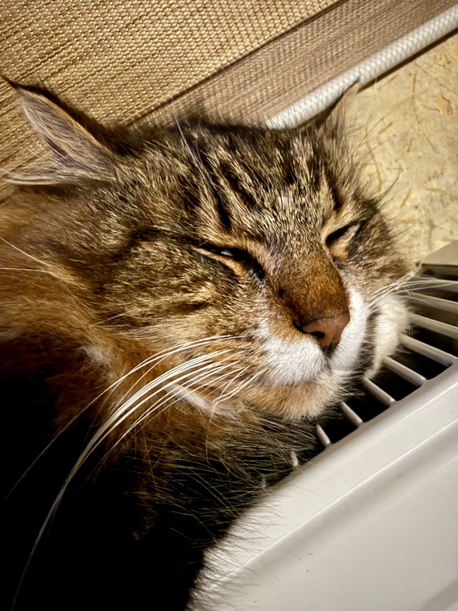 Labrīt no radiatora zēna!