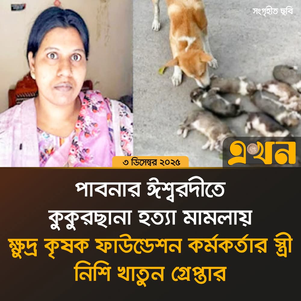 sovonchowdhury6's tweet image. পাবনার ঈশ্বরদীতে কুকুরছানা হ\ত্যা মামলায় ক্ষুদ্র কৃষক ফাউন্ডেশন কর্মকর্তার স্ত্রী নিশি খাতুন গ্রেপ্তার