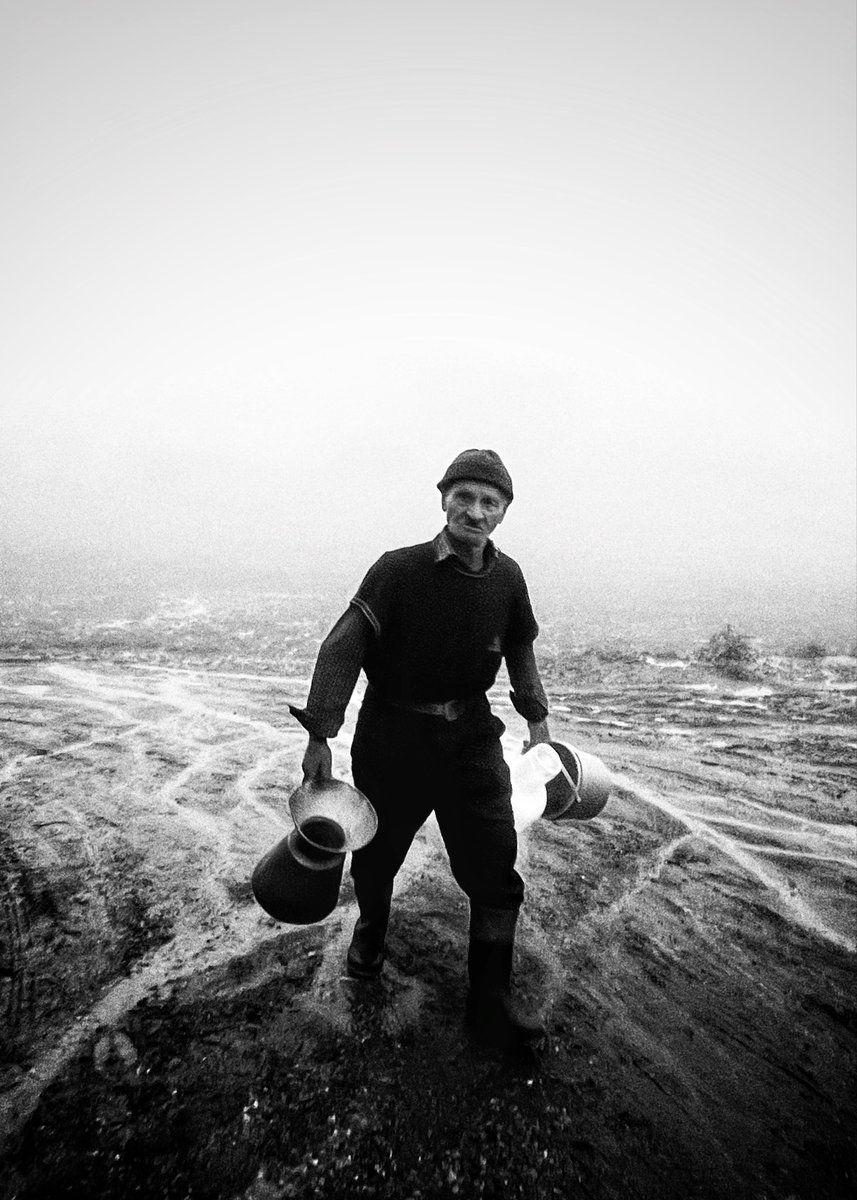 GM from the fog 🌫️
—————-
Which one hits harder:
1.  Solitude in the mist
2.  Or human presence in the shadows?

#TezosArt #NFTPhotography #objkt #cleanNFT #TezosPhotography