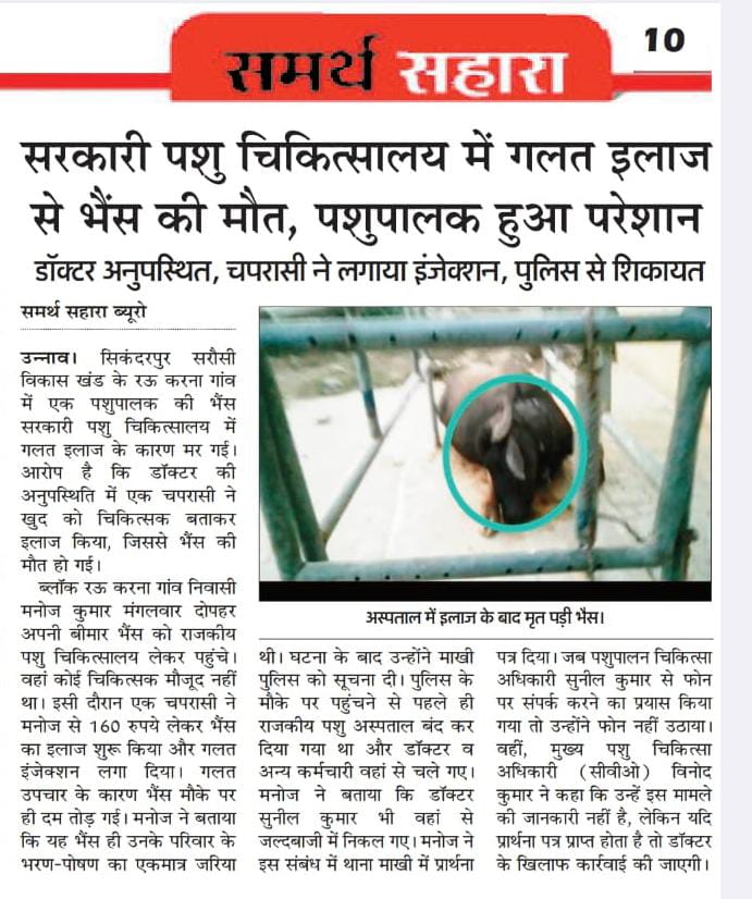 VikasJa40157938's tweet image. #उन्नाव-पशु चिकित्सा गायब, सफाई कर्मी कर रहे हैं जानवरों का इलाज,लापरवाही से भैंस की मौत, परिजनों का जीवन यापन का एक ही सहारा था,डाक्टर रहते हैं गायब, मौके पर ताला लगाकर गायब हुआ स्टाफ,मामला सिकन्दर पुर सरोसी के रऊ करना का है मामला। @dmunnao @myogiadityanath @dharampalbjpmla