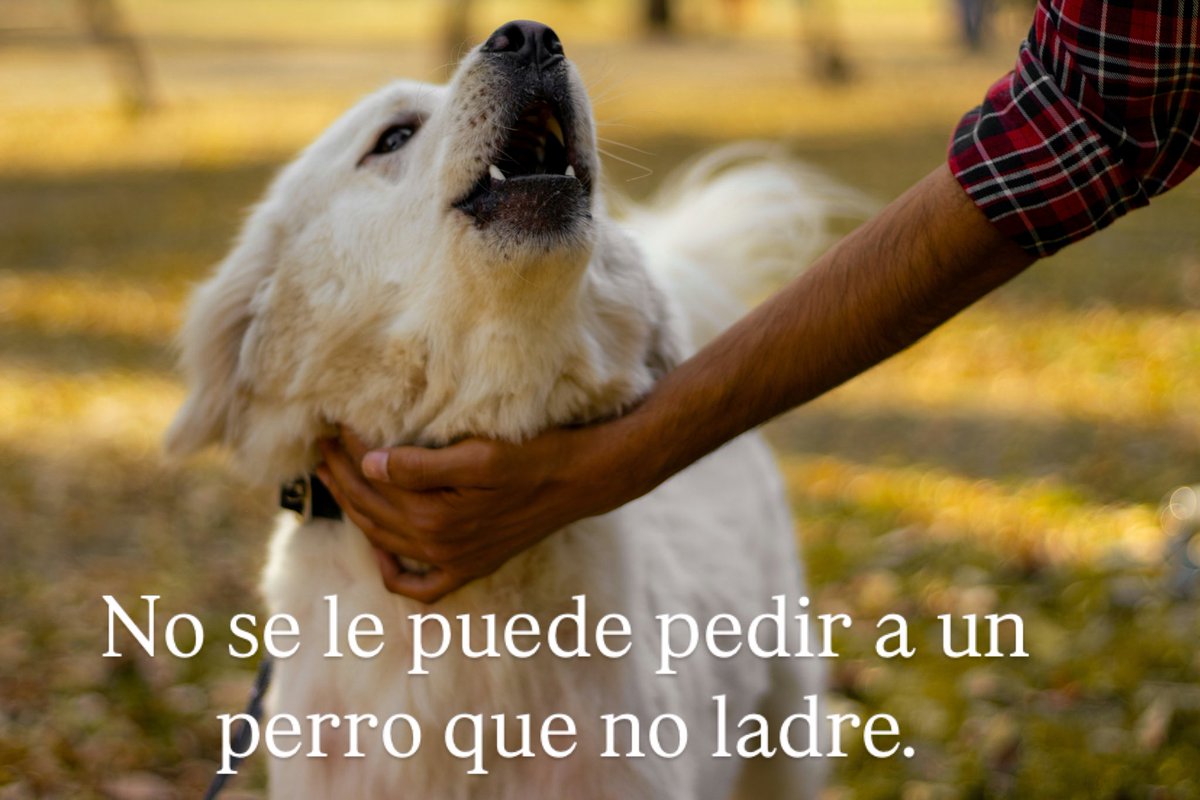 miguel angel ebro (@miguelangelebro) on Twitter photo 