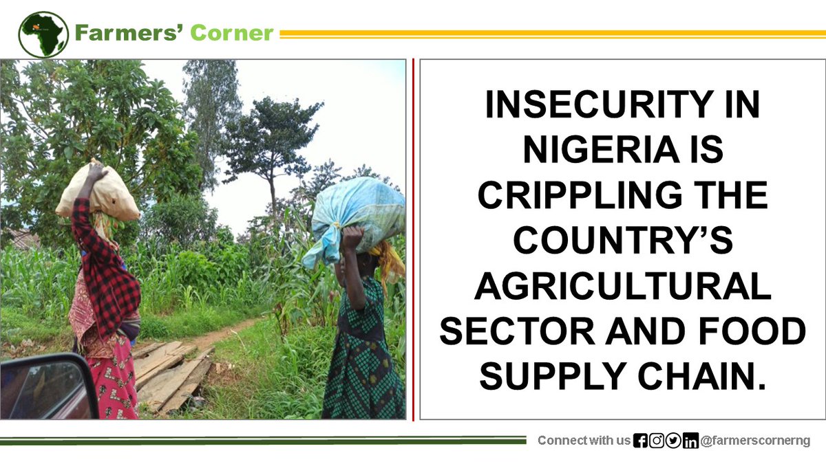 Insecurity in Nigeria is crippling agriculture and food supply chain! 4,722 abductions, N2.57bn ransoms, 33% revenue drop in Abuja. Farmers abandon lands, food shortages and economic losses ensue. Solutions: Enhanced security, community engagement and support for farmers! #Foodie
