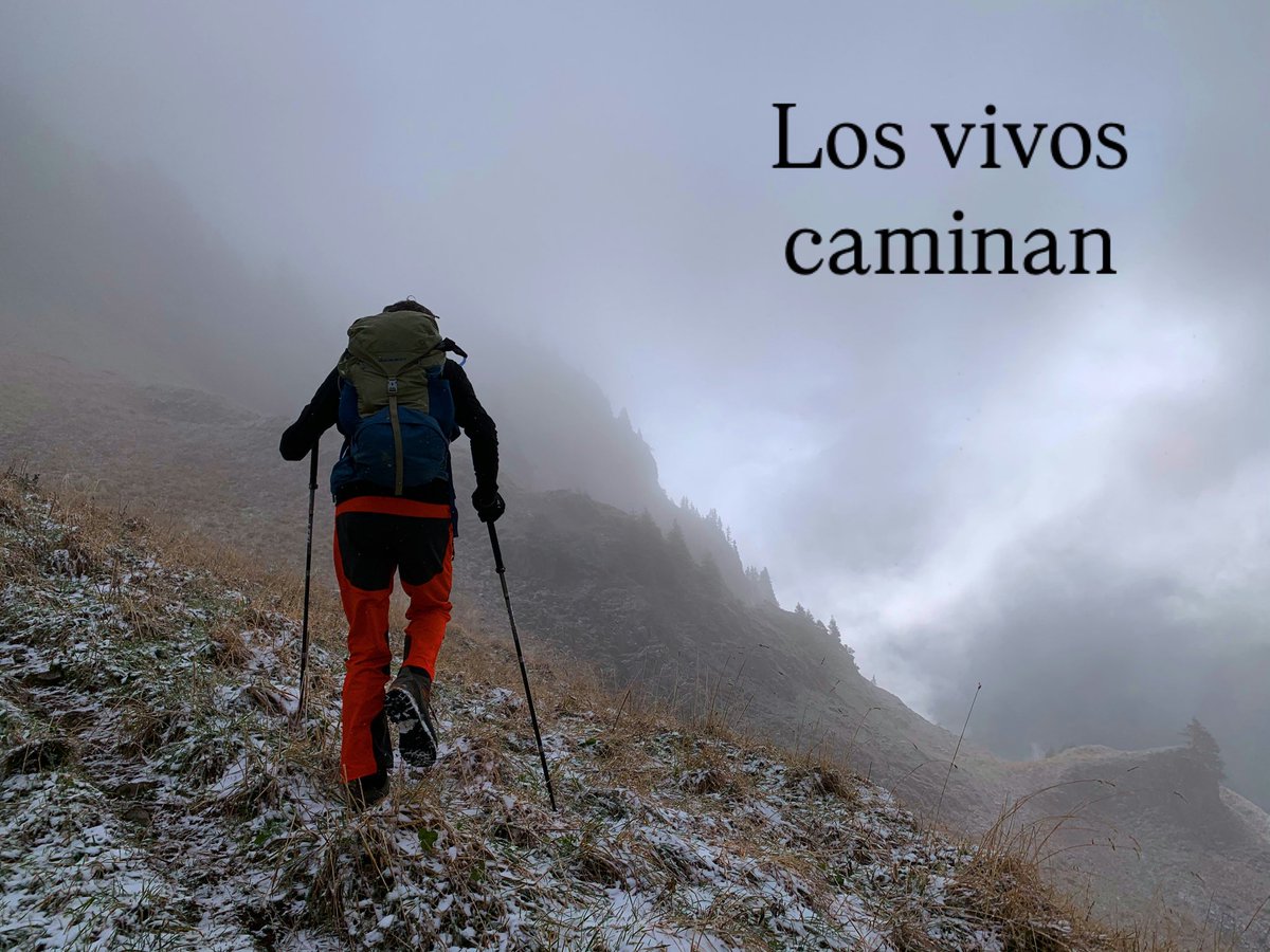 miguel angel ebro (@miguelangelebro) on Twitter photo 