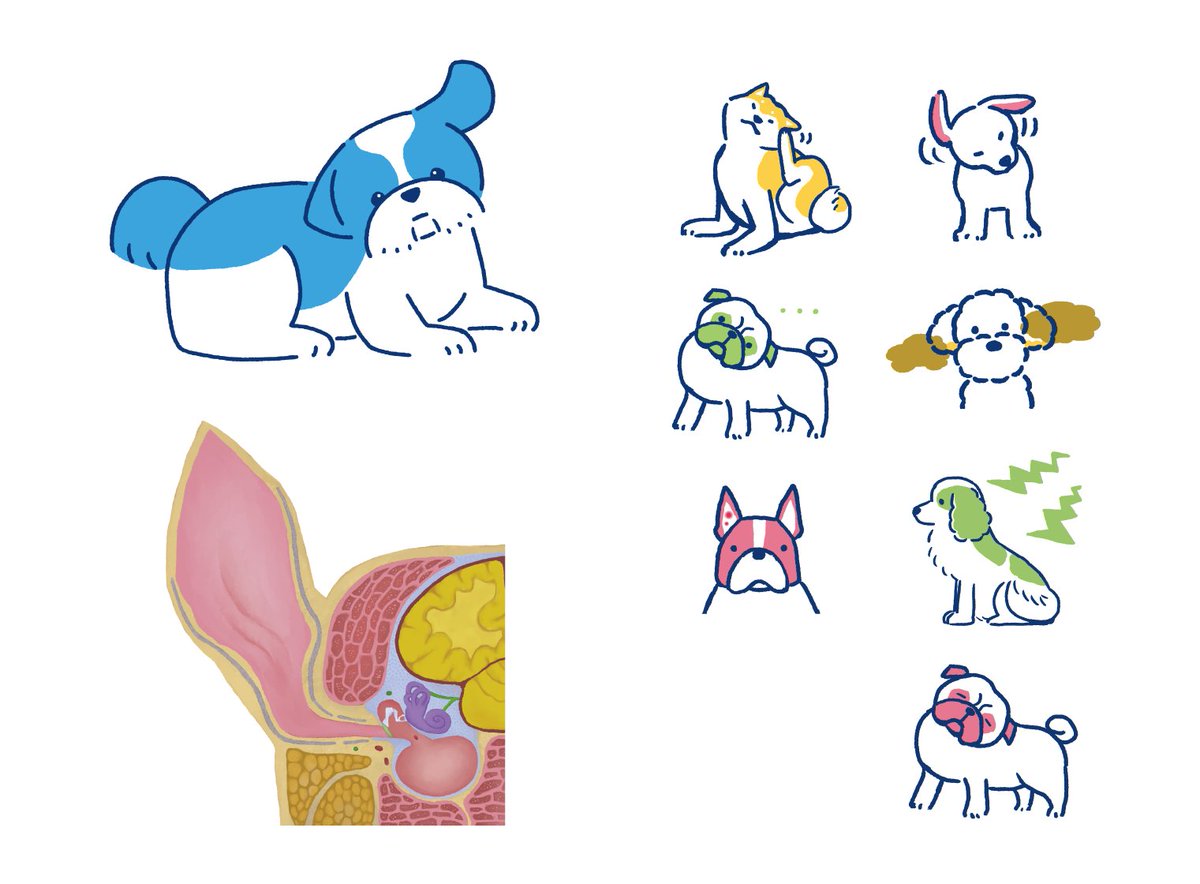 せし (@momo_seshi) / Posts / X