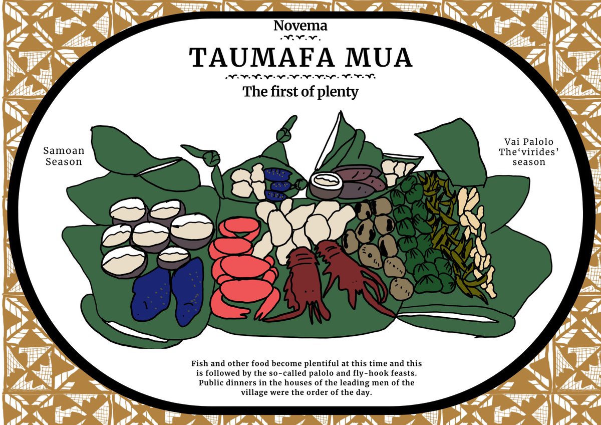 Samoan Scientist tweet media