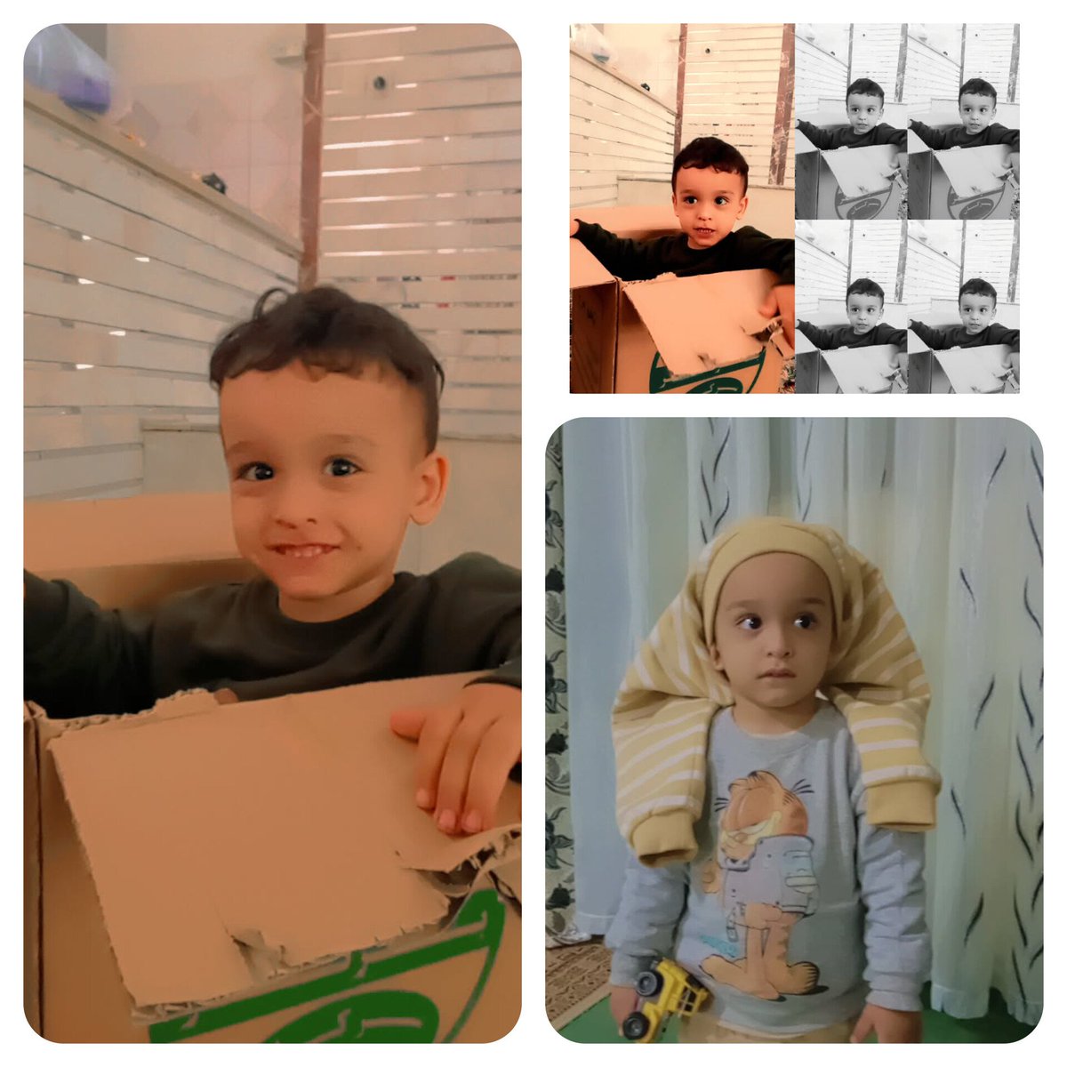 نیمچه دانشجو🇮🇷 tweet media