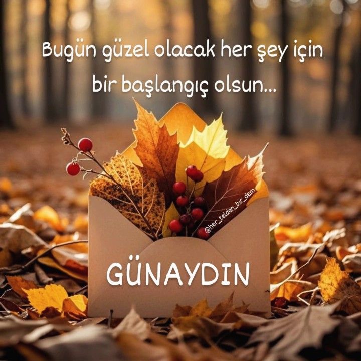 Berra35B's tweet photo. Yeni başlangıçlara Günaydın
#Günaydın #Çarşamba #Mutlusabahlar #Erkencitayfa
#Ekaaro https://t.co/PhB08YuLAf