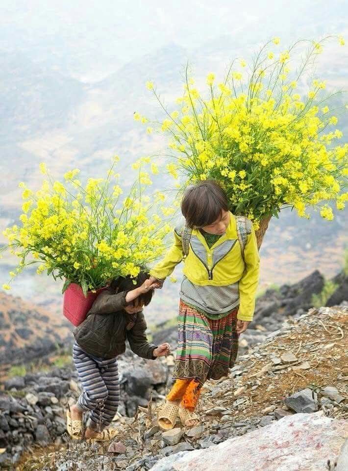Önce yoldaş, sonra yol diyor şair
Yolun güzelliği ise,
Yoldaşın güzelliğinden geliyor

Bir yola çıkacaksanız
meselâ hayat gibi
Yanınızda size değer veren
kıymetinizi bilen insana ve
İnsanlara yer verin

Güzellik yolun güzelliği kadar
yoldaşın da güzelliğinden gelir.

Günaydın🍀
.
