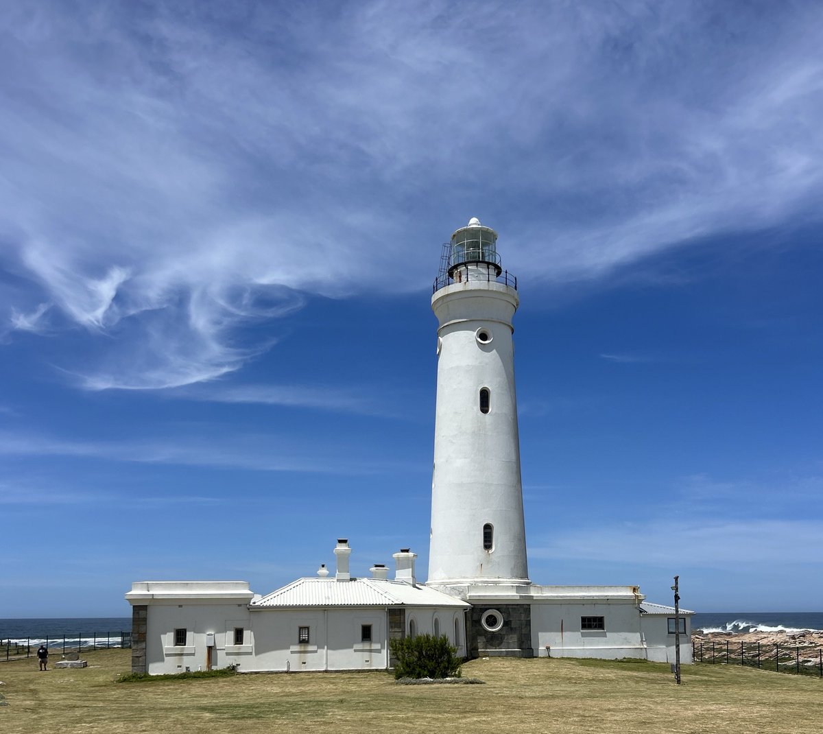 Tyronne Nel tweet media