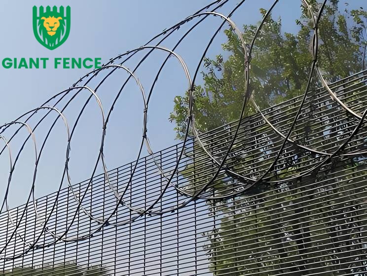 LisaWan02534890's tweet image. Flat razor wire + high-security fencing — a stronger, cleaner, and smarter perimeter solution. #metal #mesh #manufacturing #giantfence #manufacture #safety #giantfence #chinafence #fence #Flatrazorwire